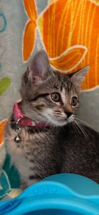 Andi - Photo 3