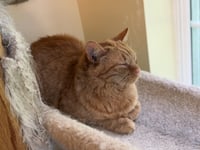 Roman - Photo 3
