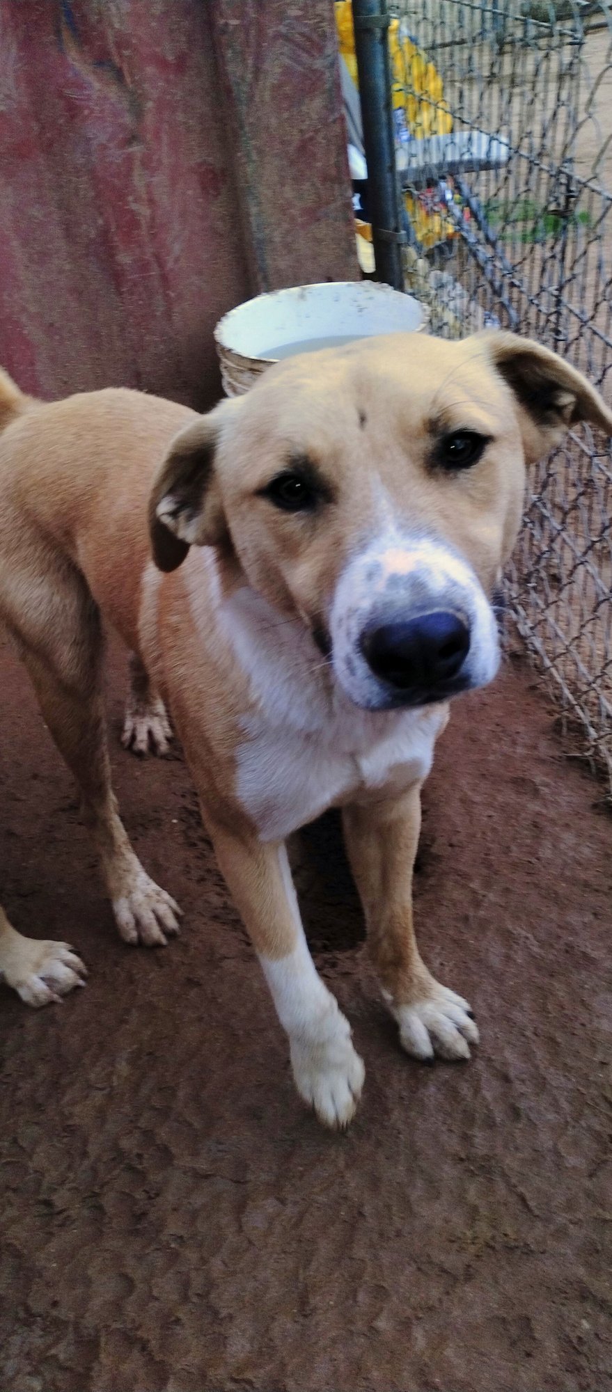 Seven Dwarfs - Photo 3