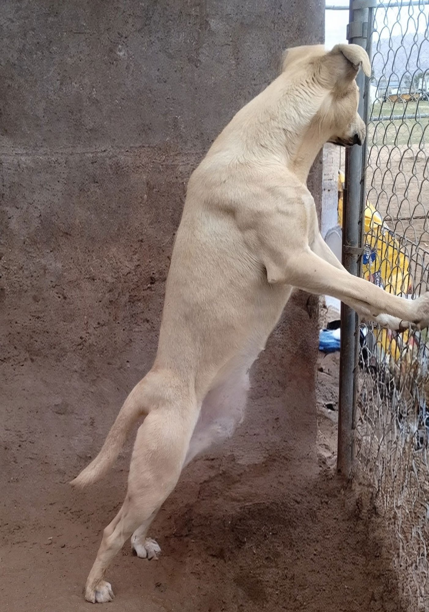 Seven Dwarfs - Photo 9