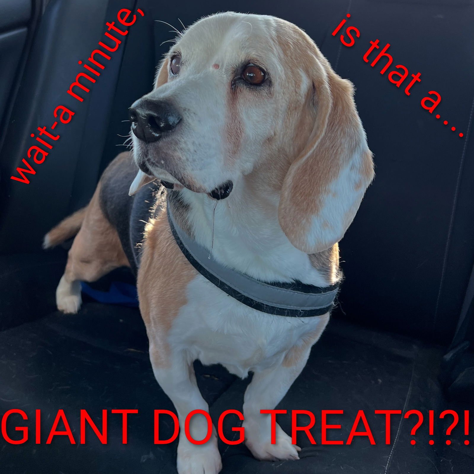 Solo- A.K.A. Gunner - Photo 3