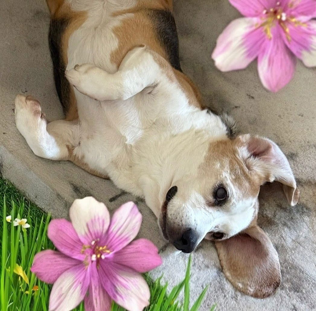 Solo- A.K.A. Gunner - Photo 4