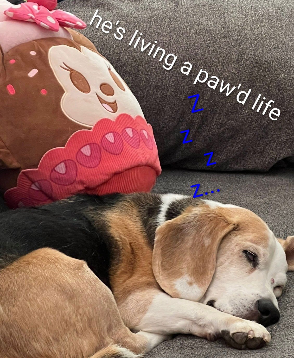 Solo- A.K.A. Gunner - Photo 5