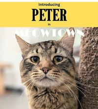 Asher & Peter *BONDED* - Photo 2