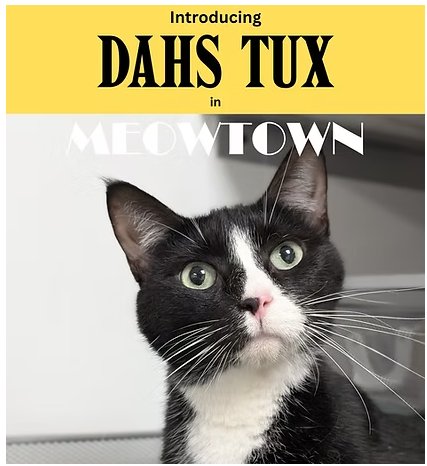 Dahs Tux Image