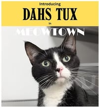 Dahs Tux - Photo 1