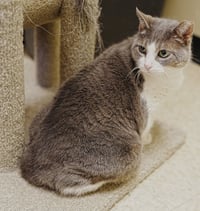 Athena - Photo 7