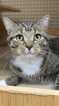 Charlie - Photo 3