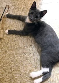 Truman & Milton *BONDED* - Photo 3