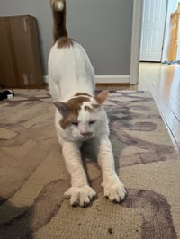 Timmy - Photo 5