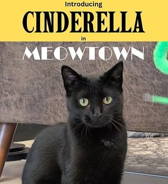 Cinderella Image