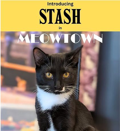 Stash Image