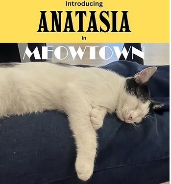Anastasia - MT Image
