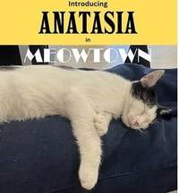 Anastasia - MT - Photo 1