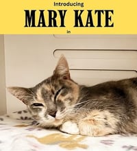 Mary Kate - Photo 1