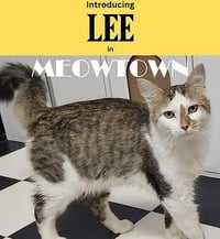 Lee - Photo 1