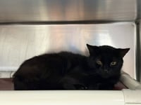 Juanita - Photo 1