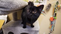 Juanita - Photo 2