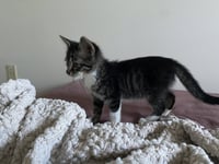 Chance - Photo 3