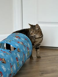 Beryl - Photo 3