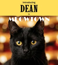 Dean - Photo 1