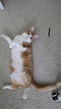 Coco - Photo 6