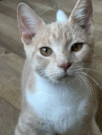 Jasper - Photo 1