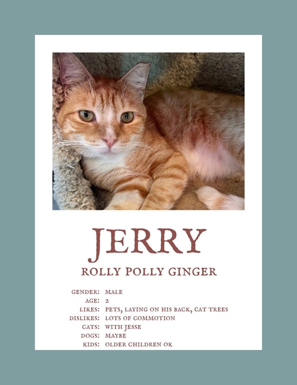 Jerry (& Jesse) bonded Image