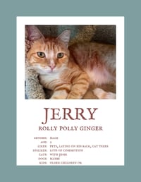 Jerry (& Jesse) bonded - Photo 1