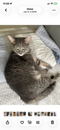 Windy & Stormy - BONDED - Photo 2