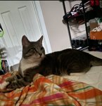 Buster - Photo 5