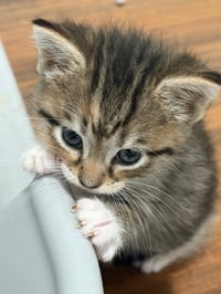 Nadia - Photo 4