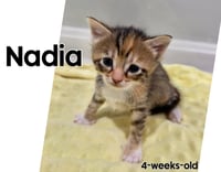 Nadia - Photo 5