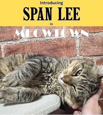 Span Lee Image