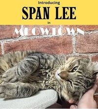Span Lee - Photo 1