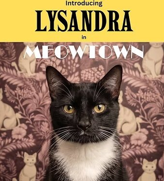 Lysandra Image