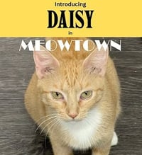 Daisy - Photo 1