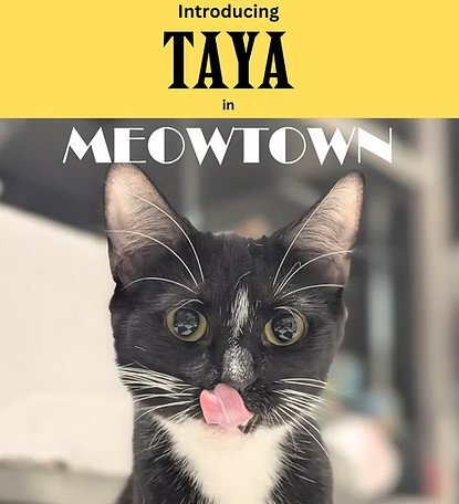 Taya Image