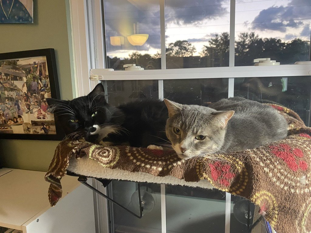 Pico & Nano *BONDED* Image