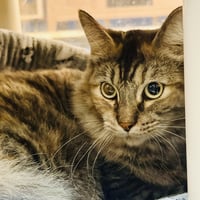 Cleo - Photo 3