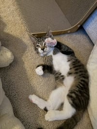 Bill & Ted *Bonded* - Photo 3