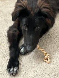 Tucker - Photo 3