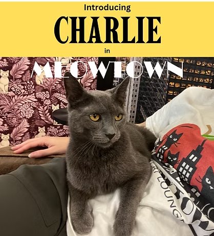 Charlie Image