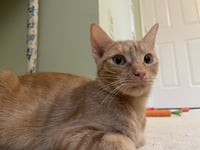 Yammie - Photo 1
