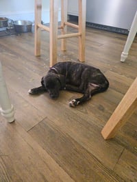 Sally - Photo 2