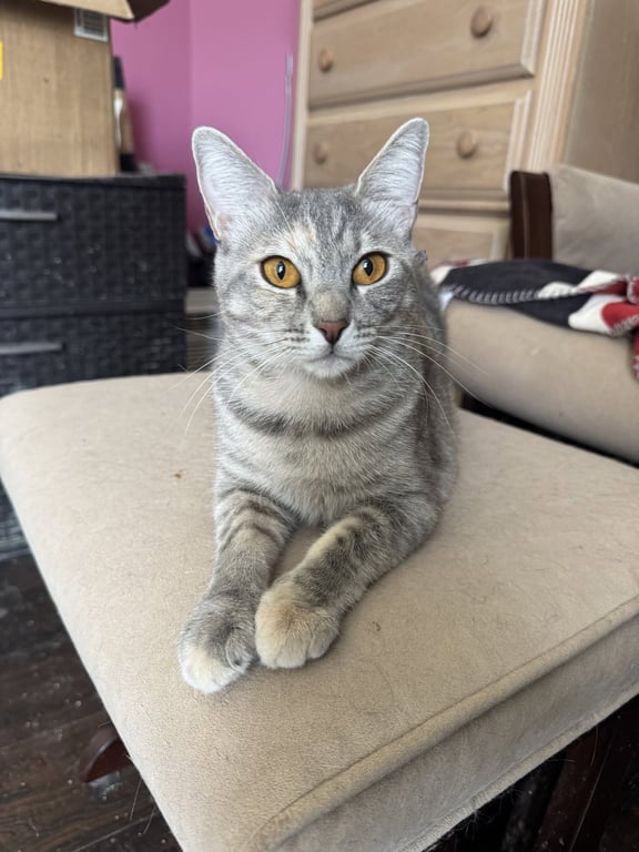 Mia Image