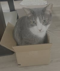 Thomas - Photo 2