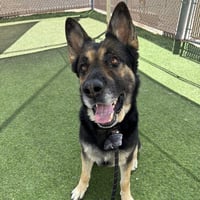 ZEUS - Photo 1