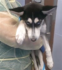 AURORA - Photo 1