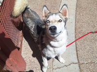 LUNA - Photo 1